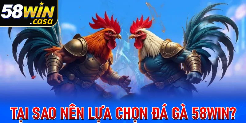 Tại sao nên lựa chọn sàn cá cược đá gà 58win thay vì nhà cái cá cược khác?