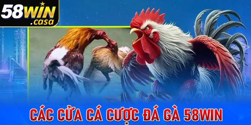 Tợp hợp các cửa cá cược đá gà 58win lôi cuốn nhất hiện nay