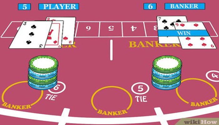 Soi Cầu Bệt Baccarat